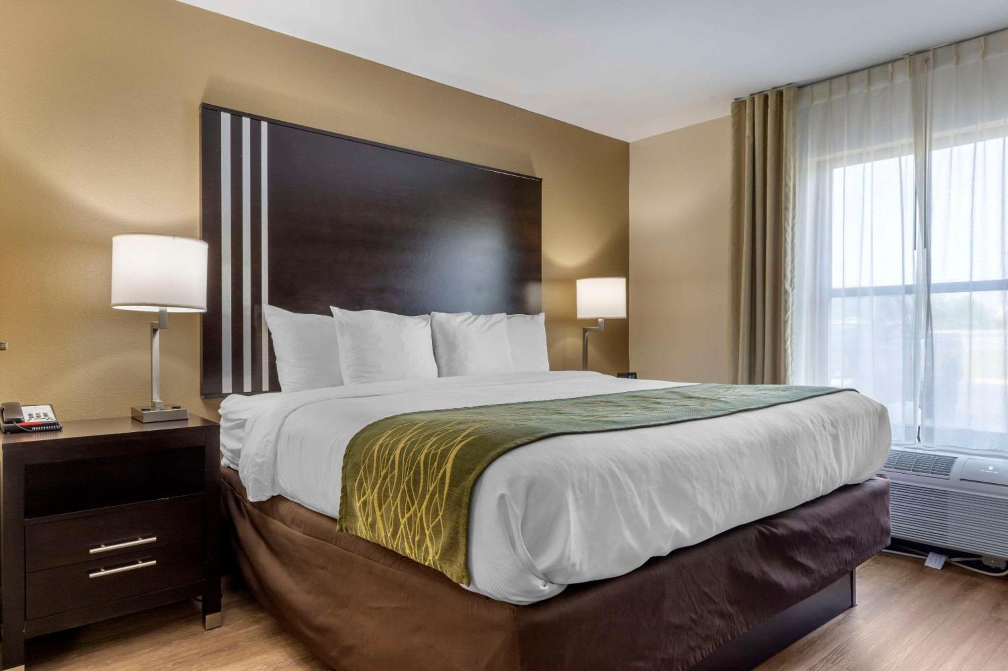 Comfort Inn Near Downtown & Blue Ridge Pkwy Marion Εξωτερικό φωτογραφία