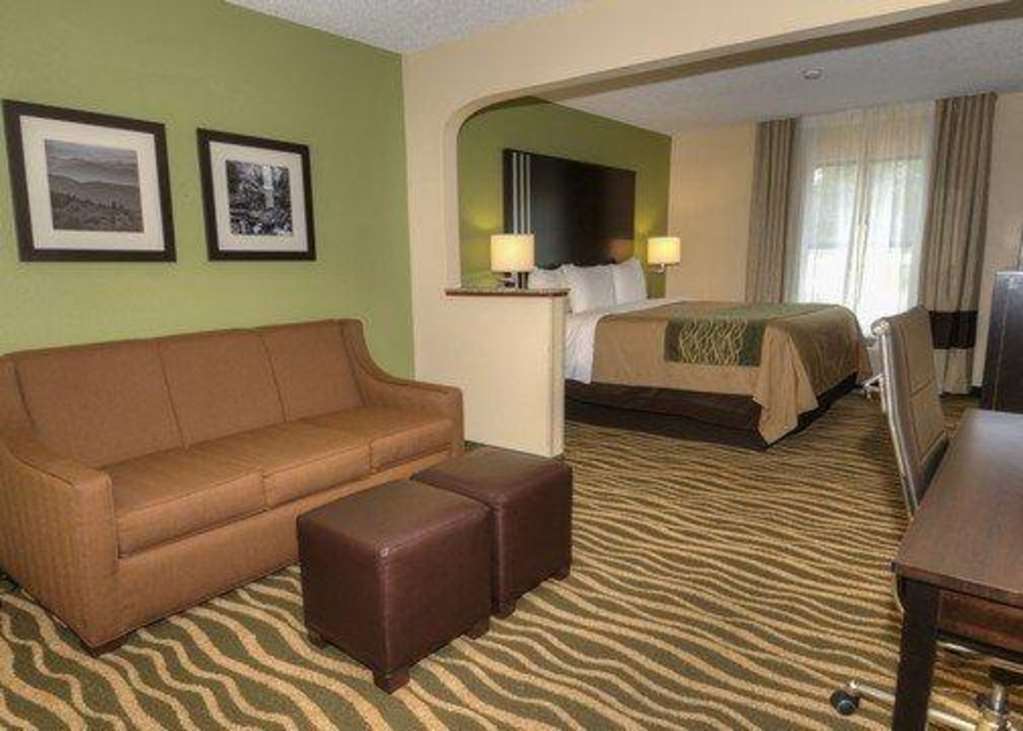 Comfort Inn Near Downtown & Blue Ridge Pkwy Marion Δωμάτιο φωτογραφία